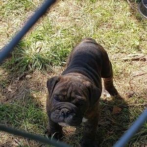 Meet your Posher, Wilma